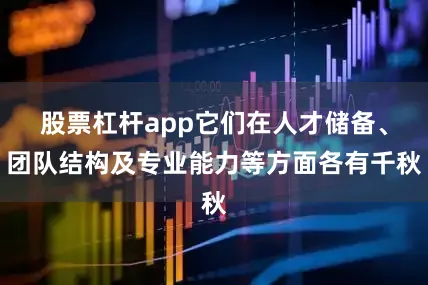 股票杠杆app它们在人才储备、团队结构及专业能力等方面各有千秋